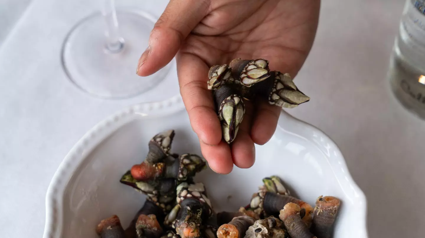 May 9, 2024: The Costa da Morte (Coast of Death) got its name from all the people who have died from shipwrecked boats on the shoreline.  We follow Roberto Vidal Pombo, who is a percebeiro, a barnacle picker.  Roberto and his brother go out to rocks off the coast where they pick percebes (barnacles).

Afterward, we go to Restaurante Miramar de Corme where we take pics of seafood dishes.
Spain Marketing 1379722
