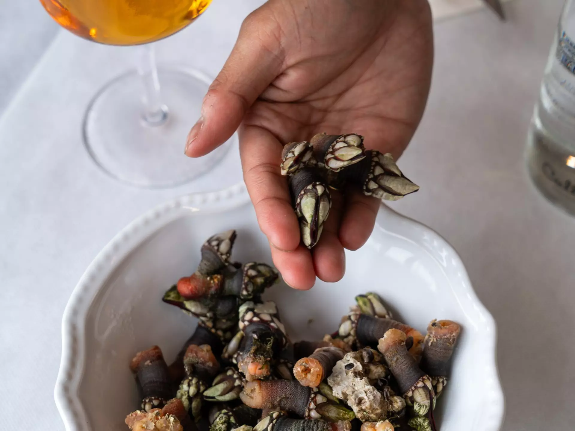May 9, 2024: The Costa da Morte (Coast of Death) got its name from all the people who have died from shipwrecked boats on the shoreline.  We follow Roberto Vidal Pombo, who is a percebeiro, a barnacle picker.  Roberto and his brother go out to rocks off the coast where they pick percebes (barnacles).

Afterward, we go to Restaurante Miramar de Corme where we take pics of seafood dishes.
Spain Marketing 1379722