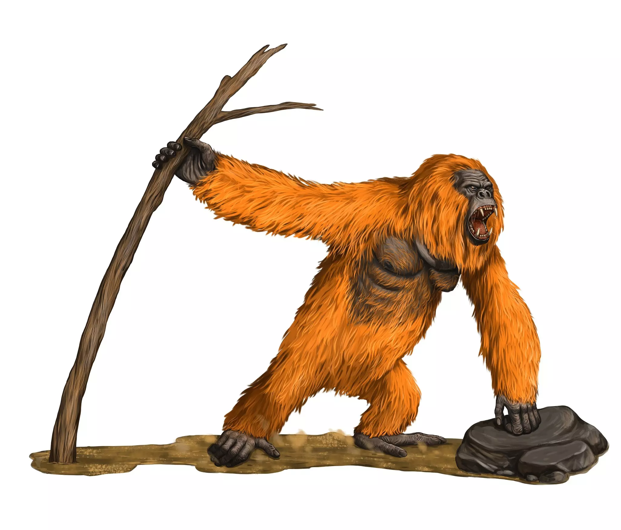 The exterior of Beastly Books in Santa Fe