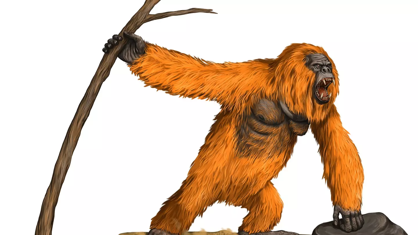 The exterior of Beastly Books in Santa Fe