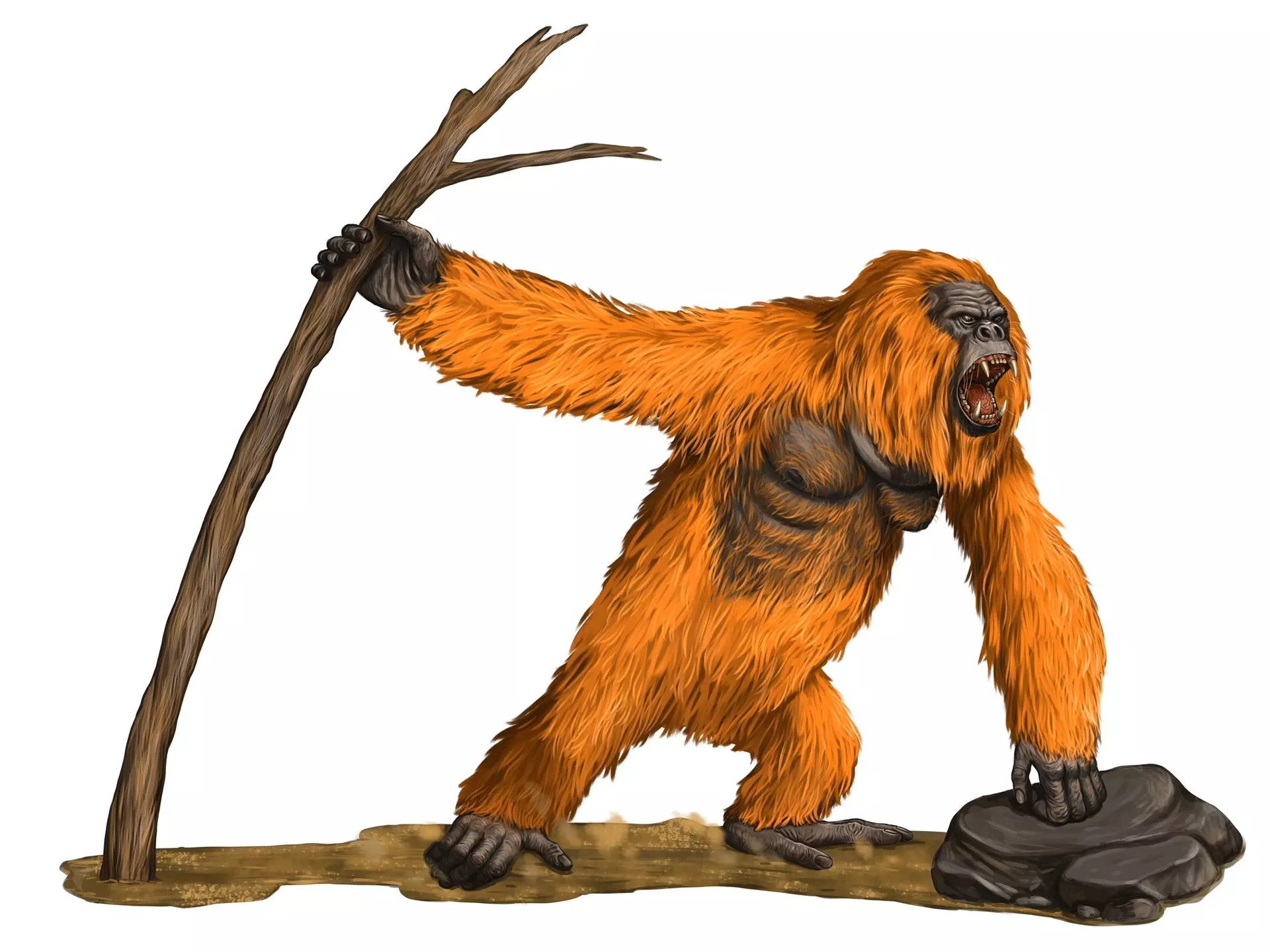 The exterior of Beastly Books in Santa Fe