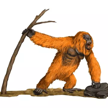 The exterior of Beastly Books in Santa Fe