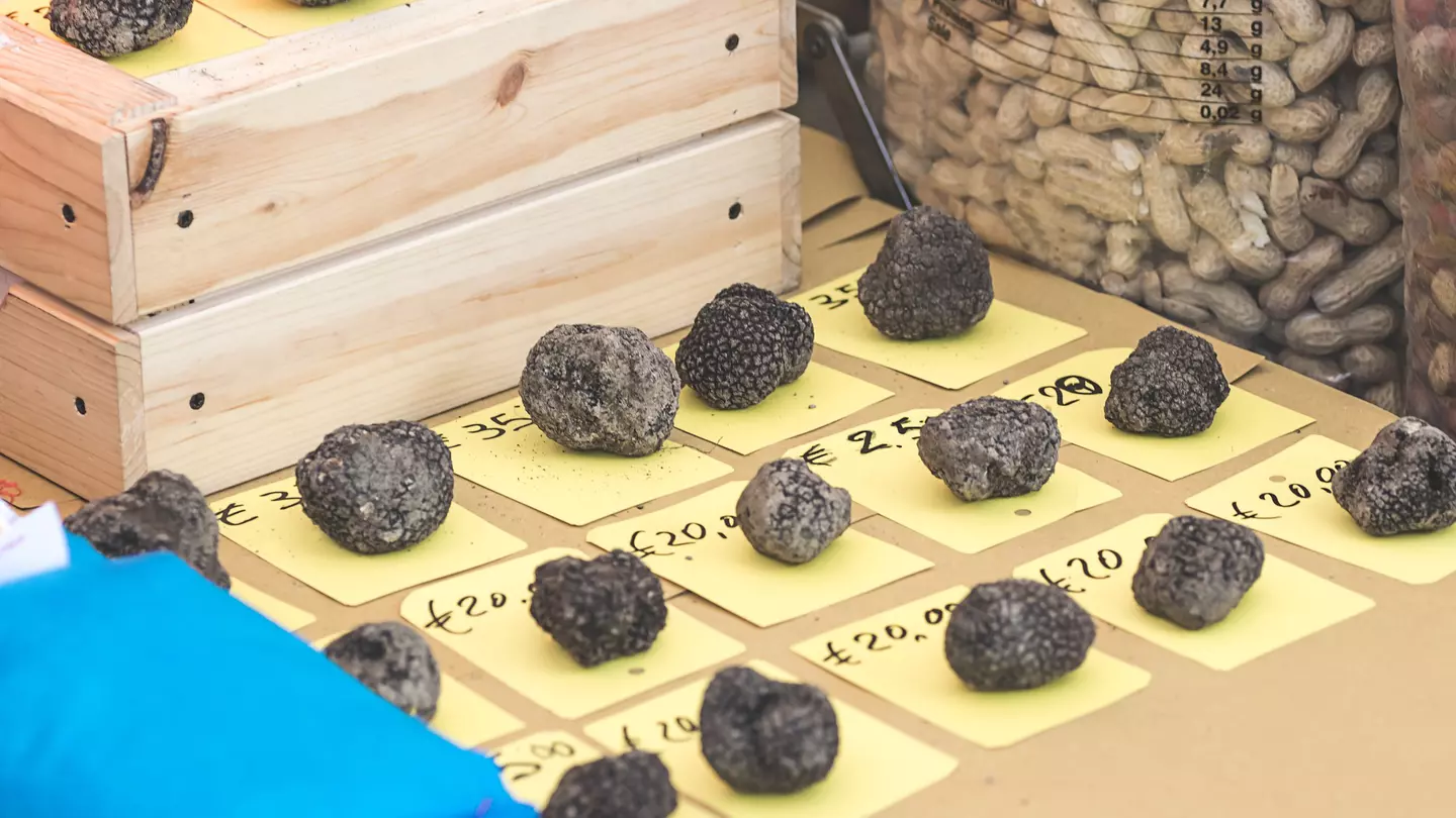 Fresh black truffles