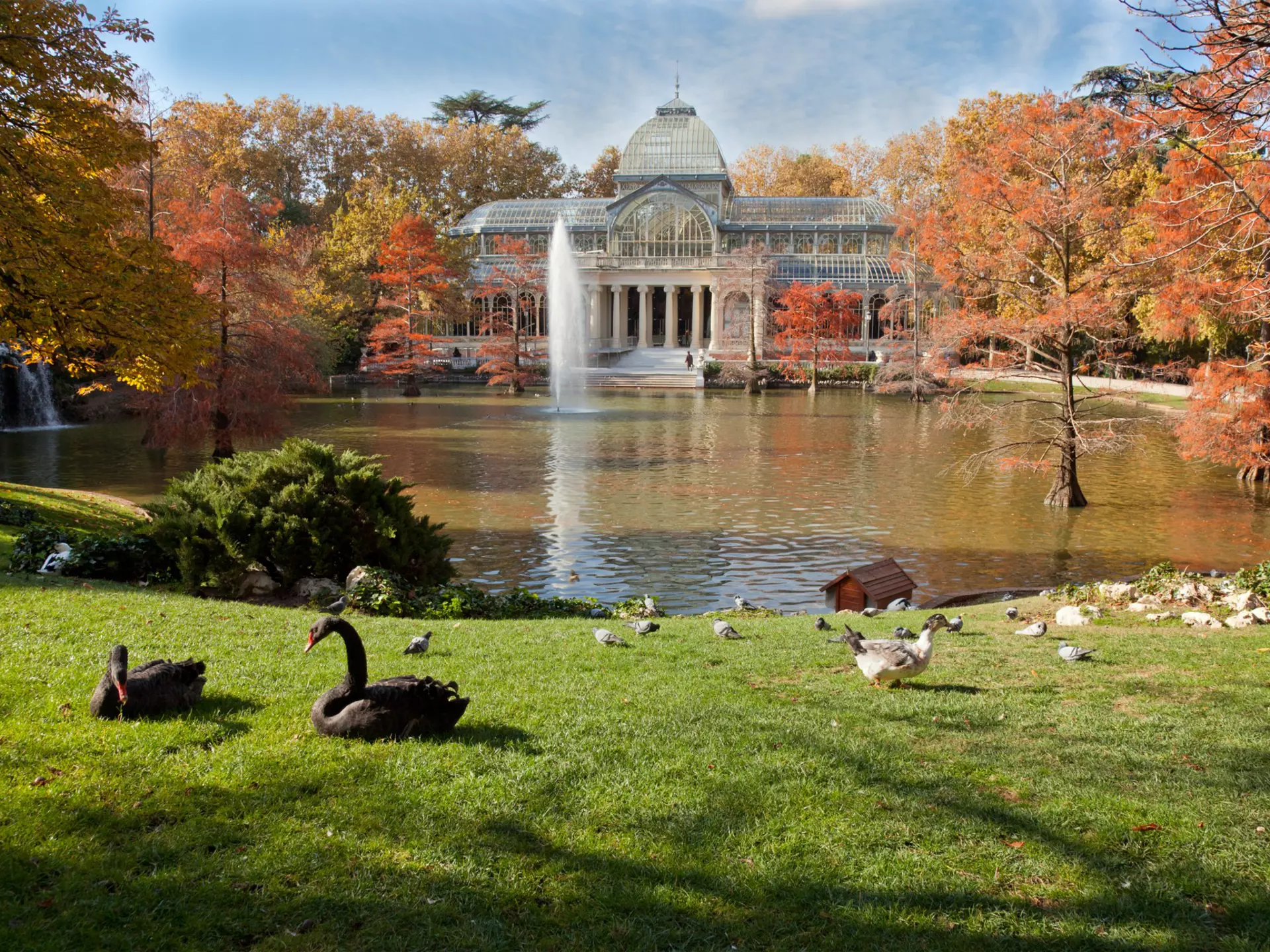 Crystal Palace in Retiro Park, Madrid, Spain
184936225
Capital Cities, People Traveling, Building Exterior, European Union, Crystal Palace - Location, Greenhouse, Color Image, History, Tranquil Scene, Spanish Culture, Cultures, Famous Place, Architecture, Travel Destinations, Outdoors, Horizontal, Parque Del Buen Retiro, Madrid, Spain, Southern Europe, Europe, Tree, Swan, Duck, Day, Autumn, Park - Man Made Space, Palace, Mansion, Mediterranean Culture, Nature, Architecture And Buildings, Monuments