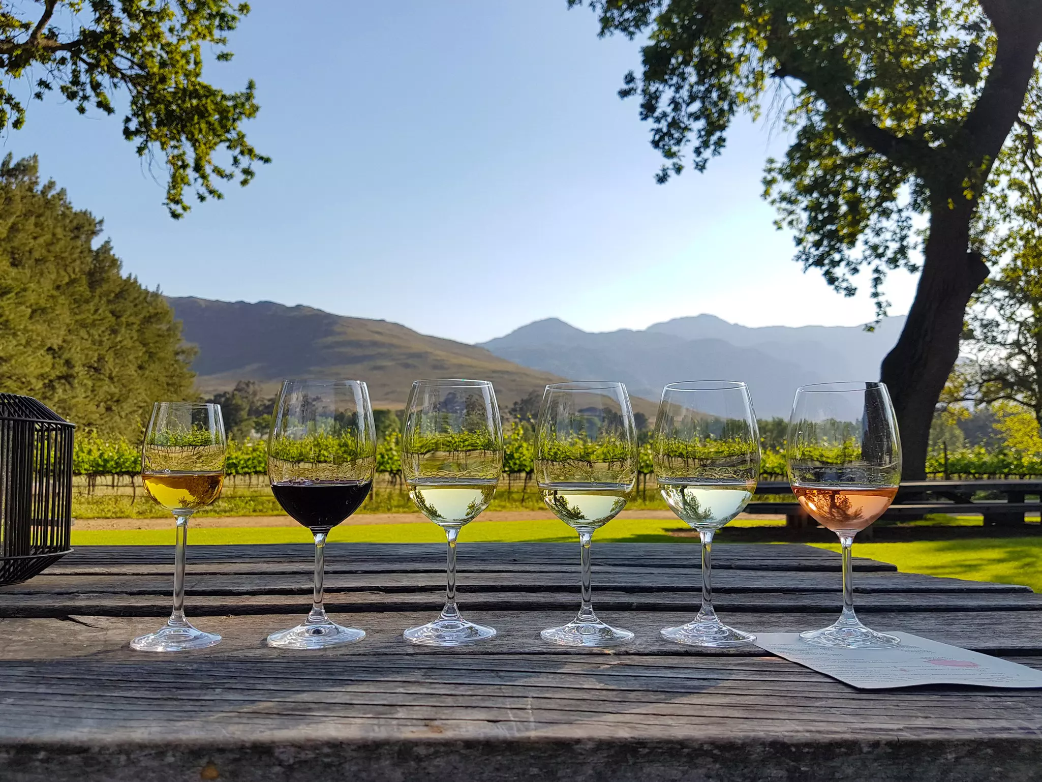 Five wineglasses, each with a different liquid, sit on a wooden table; a vineyard and mountains are in the background.