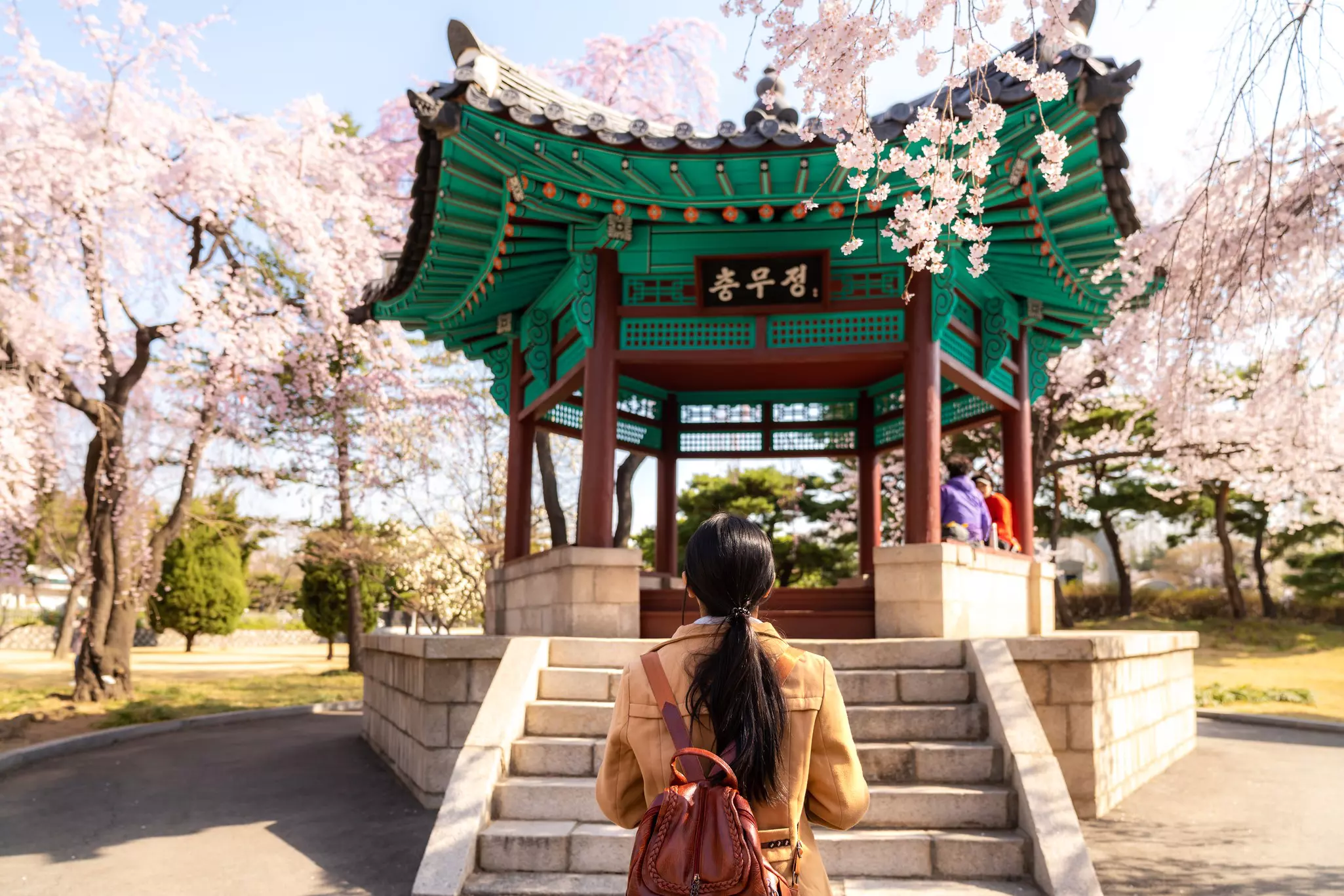 Spring brings a blush of cherry blossom to cities across South Korea © prasit photo / Getty Images