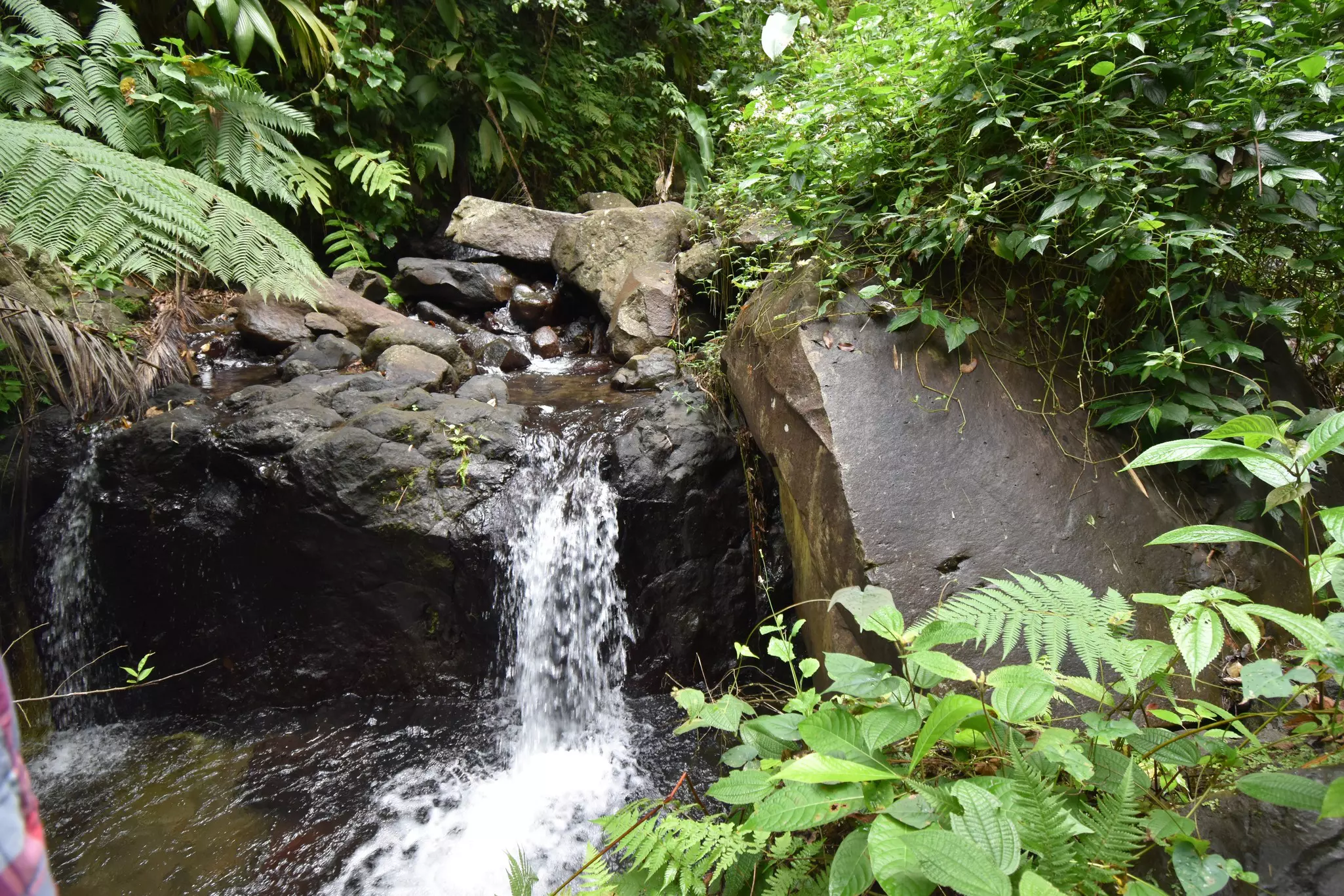 The easy hike to see Dark View Falls is perfect for junior trekkers © Getty Images / iStockphoto