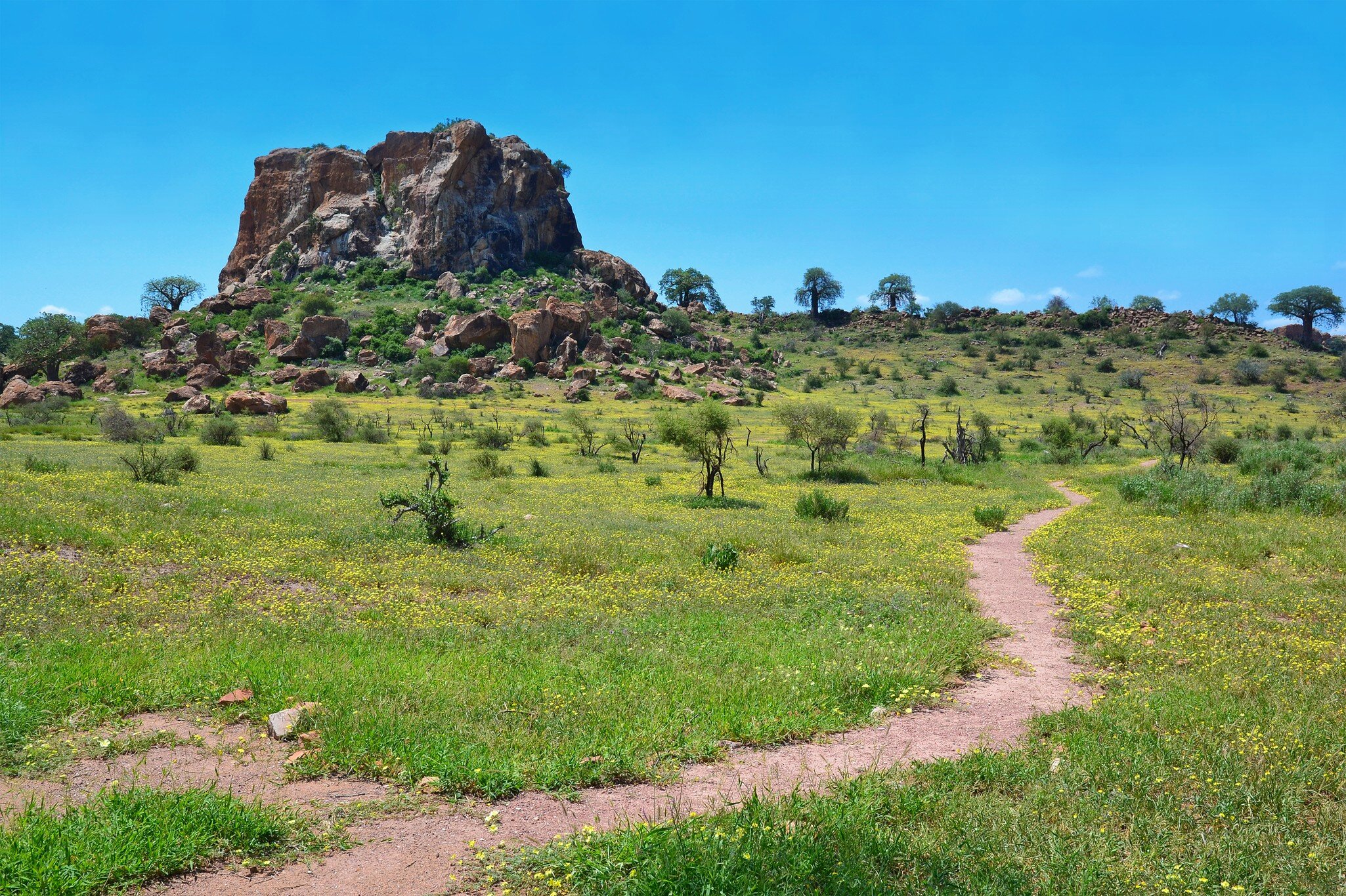 Landscape in Mapungubwe National Park, South Africa.