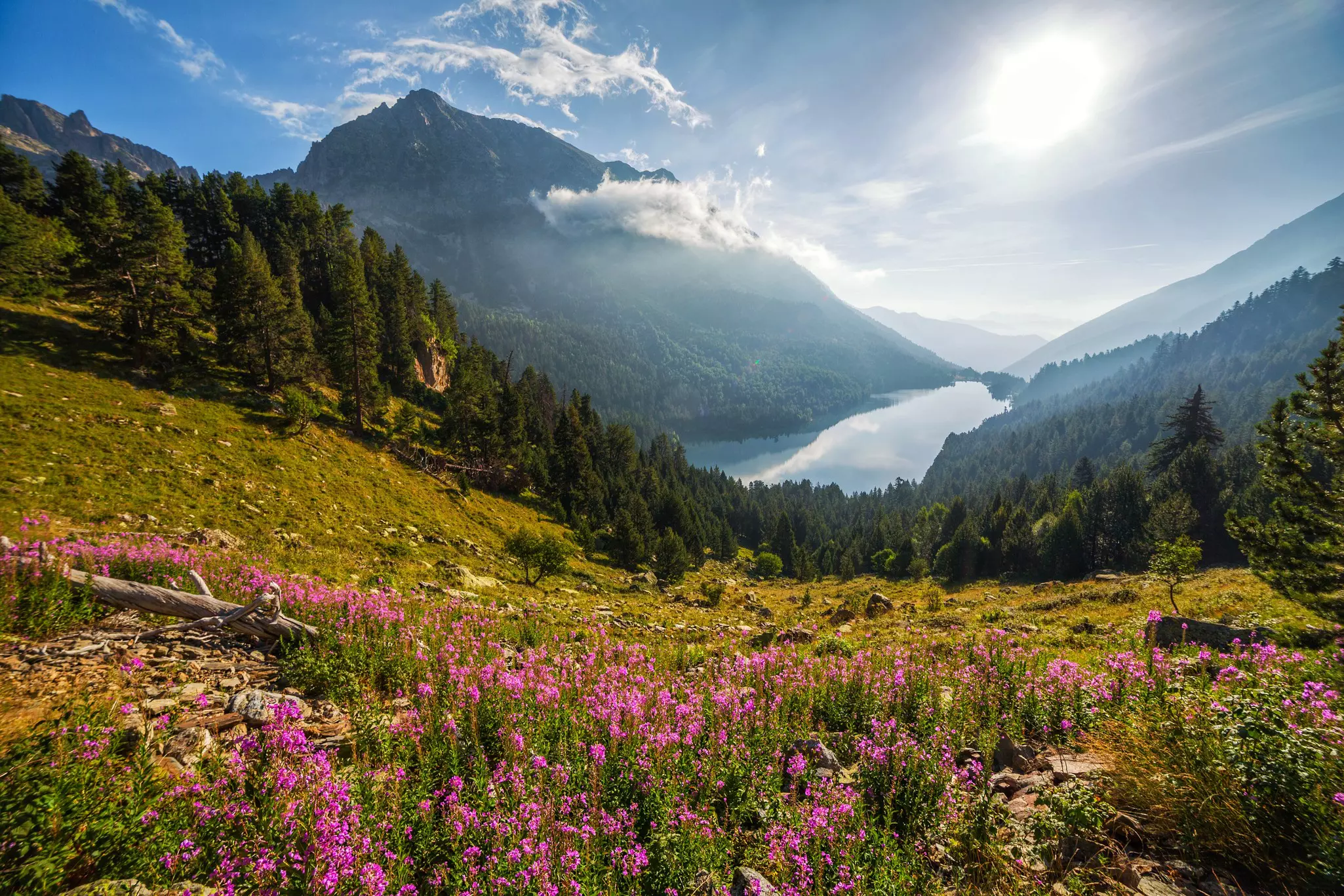 A high alpine lake in Parc Nacional d’Aigüestortes i Estany de Sant Maurici with wildflowers in the foreground.