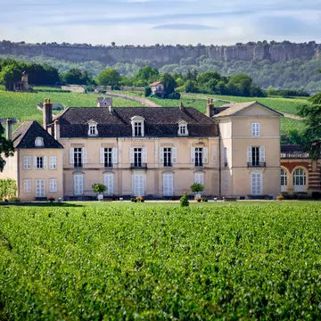A large mansion house with neat rows of green vines growing in its grounds.