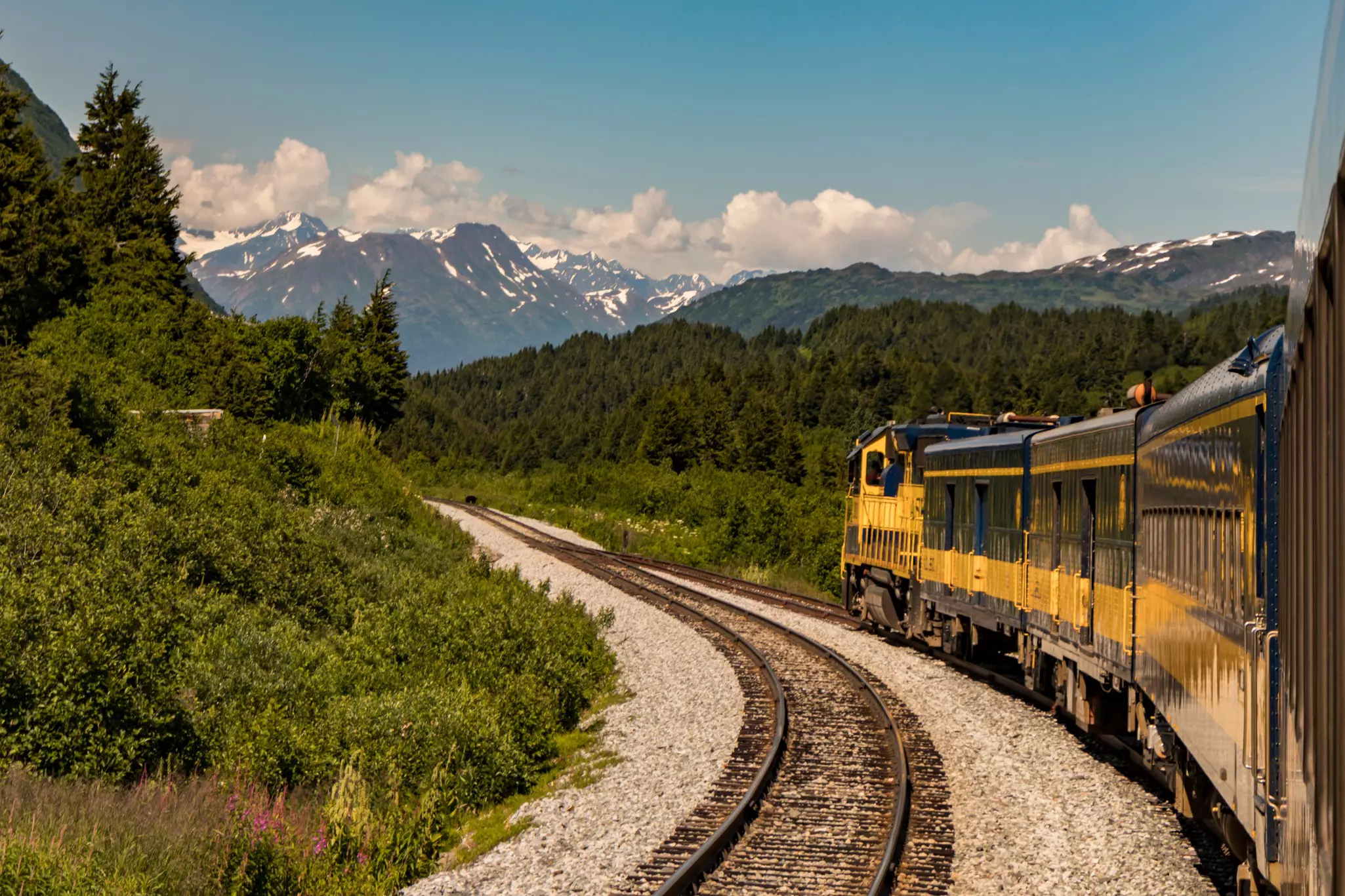 A train follows tracks in a mountainous landscape. Up ahead a bear is crossing the tracks.