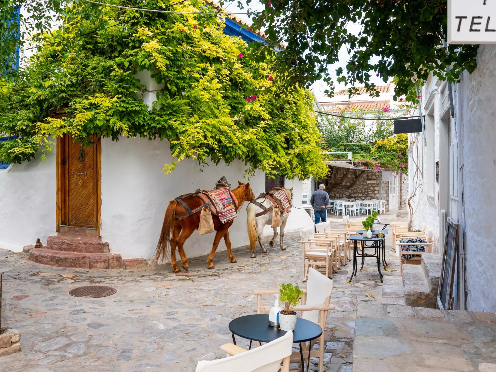 The island of Hyrda, Greece. Kirk Fisher/Shutterstock