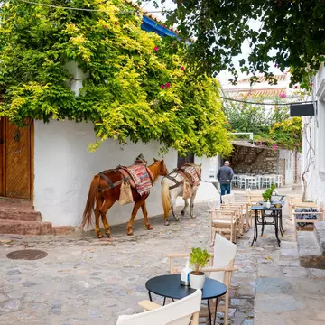 The island of Hyrda, Greece. Kirk Fisher/Shutterstock