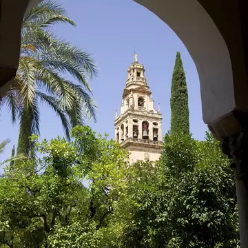 Ornate stone bell tower seen through a white arch, above rows of orange trees, palms and a cypress under blue sky.