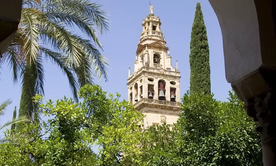 Ornate stone bell tower seen through a white arch, above rows of orange trees, palms and a cypress under blue sky.