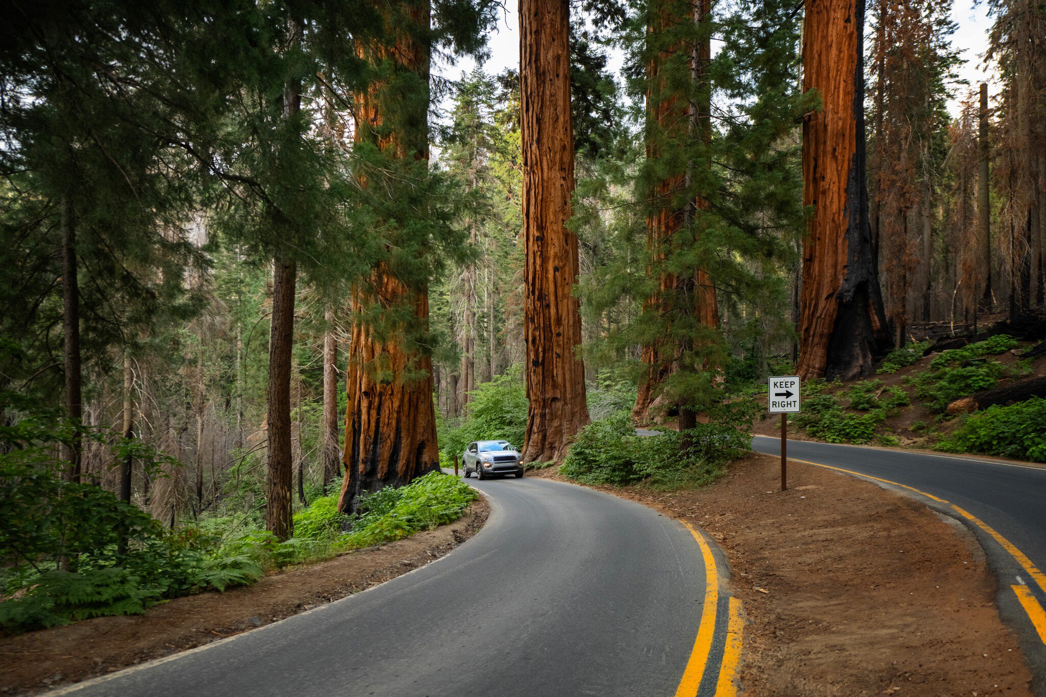 shutterstockRF_1433267651.jpg