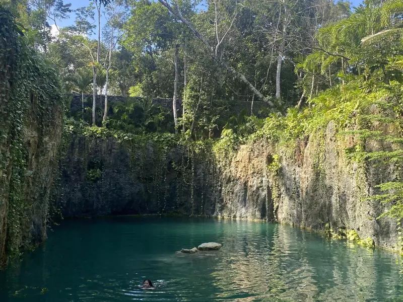 A waterhole surrounded by jungle