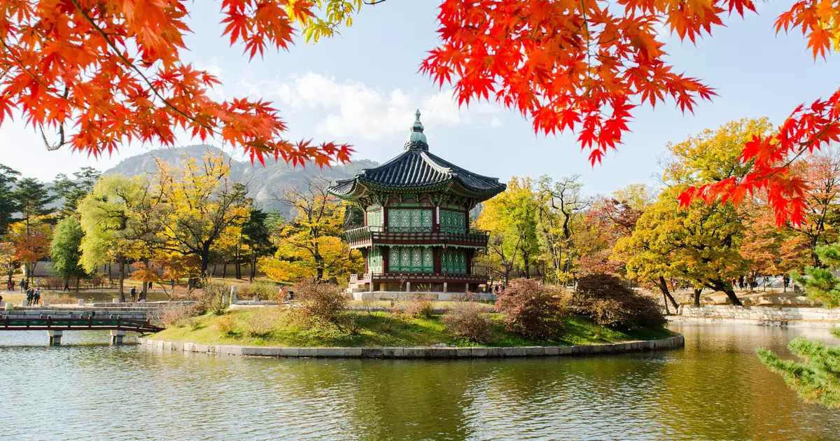20 fabulous things to do in Seoul - Lonely Planet