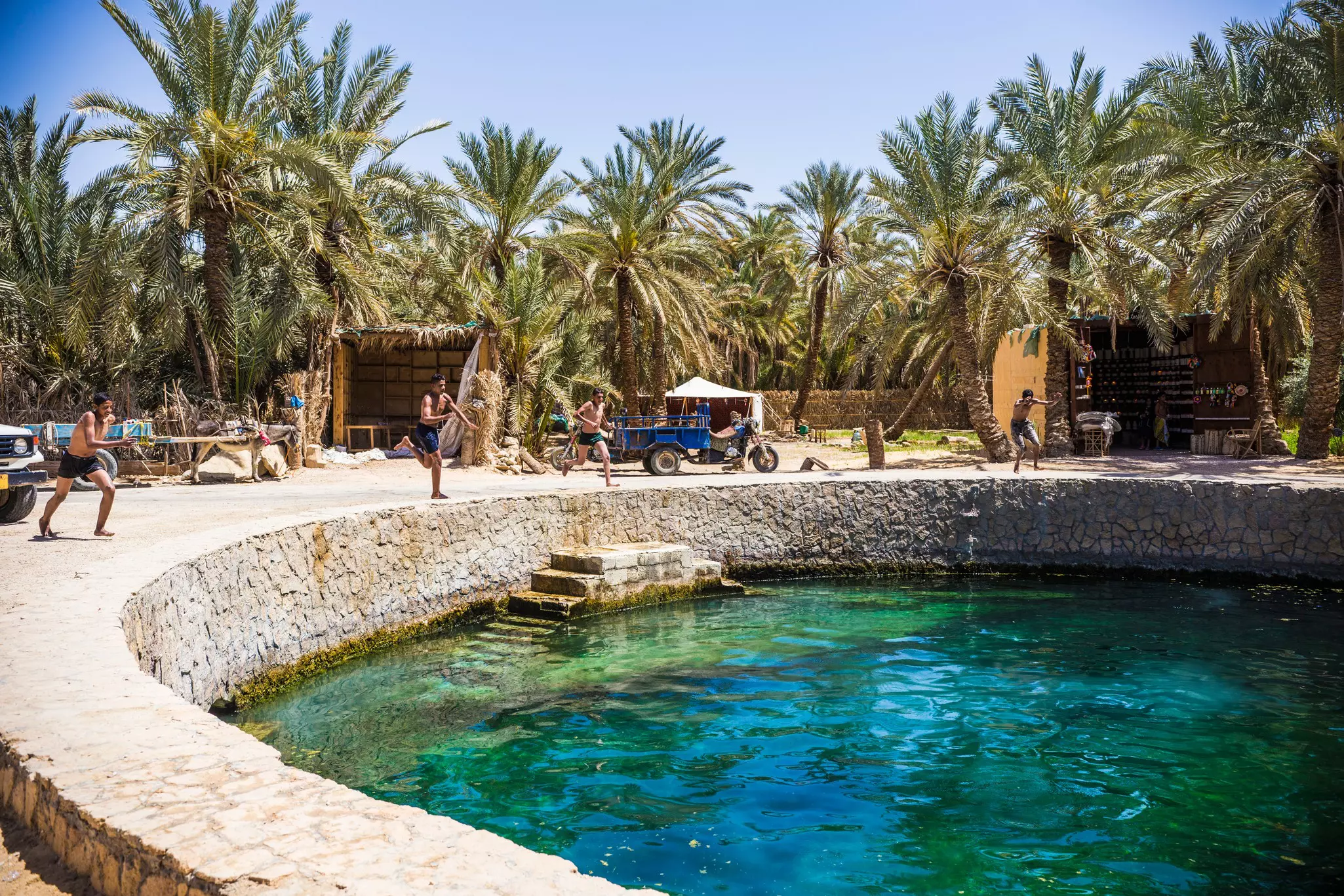 Young men leap into a round pool in an oasis.