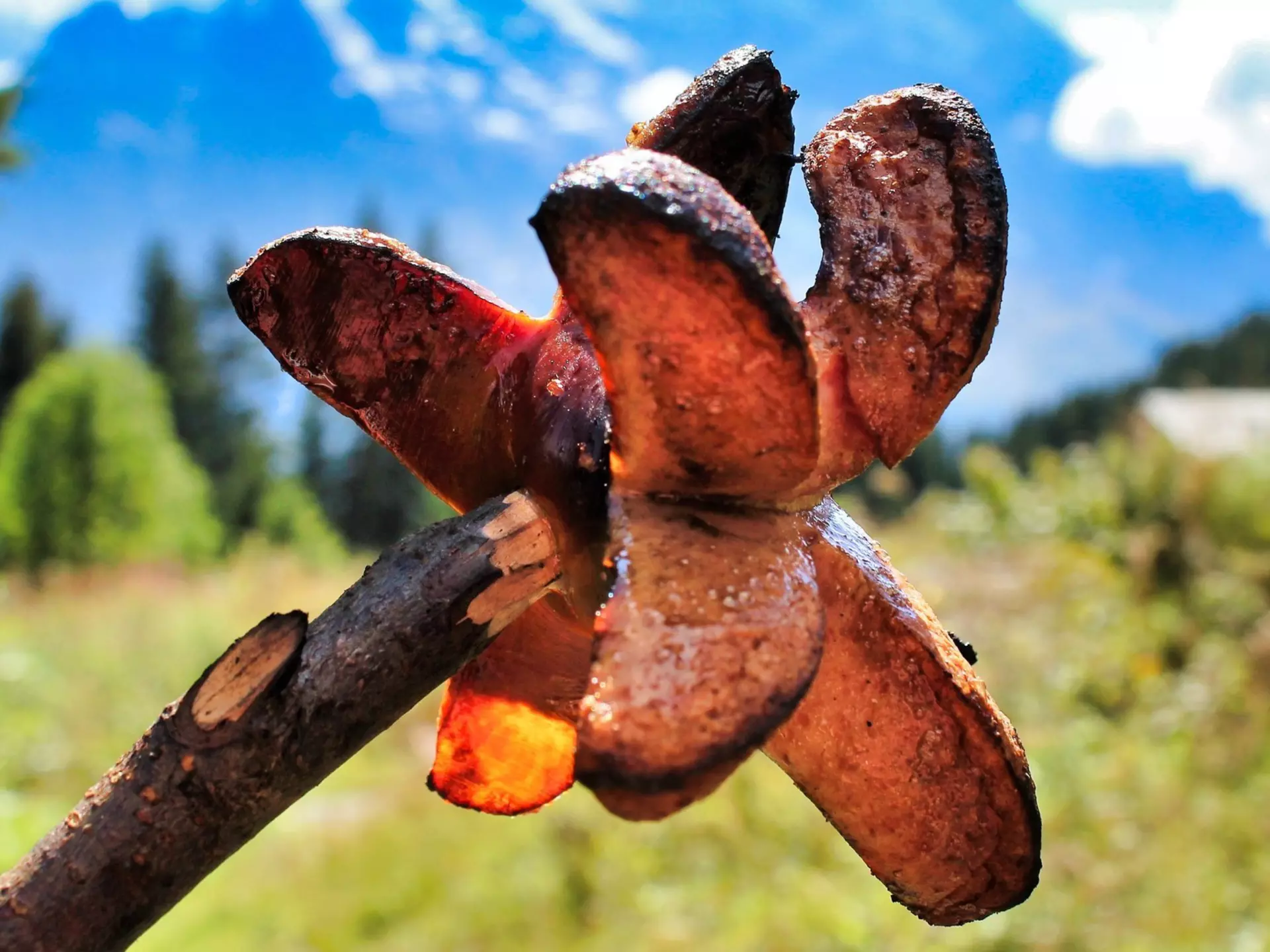 Cervelat is a small sausage traditionally eaten round the campfire in Switzerland. Michaela Leona/Shutterstock