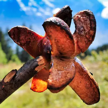 Cervelat is a small sausage traditionally eaten round the campfire in Switzerland. Michaela Leona/Shutterstock