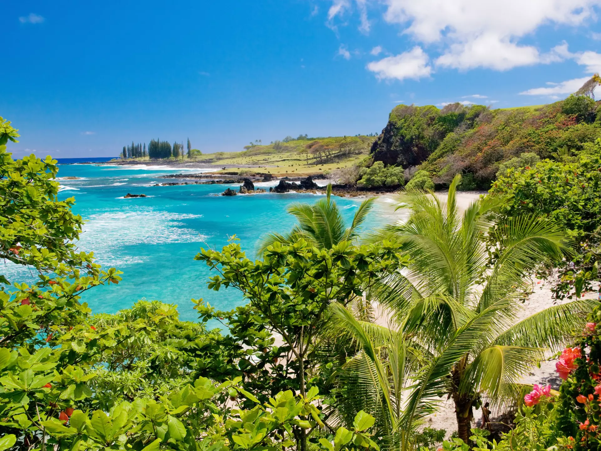 110896865
Beach; Beauty In Nature; Blue; Cloud - Sky; Color Image; Day; Flickr; Hana - Maui; Hawaii Islands; Horizontal; Idyllic; Maui; Nature; No People; Outdoors; Pacific Islands; Pacific Ocean; Palm Tree; Photography; Scenics - Nature; Sea; Sky; Tranquil Scene; Travel Destinations; Tree; Tropical Climate; Tropical Tree; USA;
Hawaii, Maui, Tropical Hamoa beach in Hana with palm trees and blue sky.