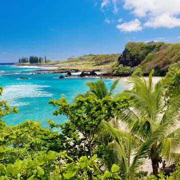 110896865
Beach; Beauty In Nature; Blue; Cloud - Sky; Color Image; Day; Flickr; Hana - Maui; Hawaii Islands; Horizontal; Idyllic; Maui; Nature; No People; Outdoors; Pacific Islands; Pacific Ocean; Palm Tree; Photography; Scenics - Nature; Sea; Sky; Tranquil Scene; Travel Destinations; Tree; Tropical Climate; Tropical Tree; USA;
Hawaii, Maui, Tropical Hamoa beach in Hana with palm trees and blue sky.