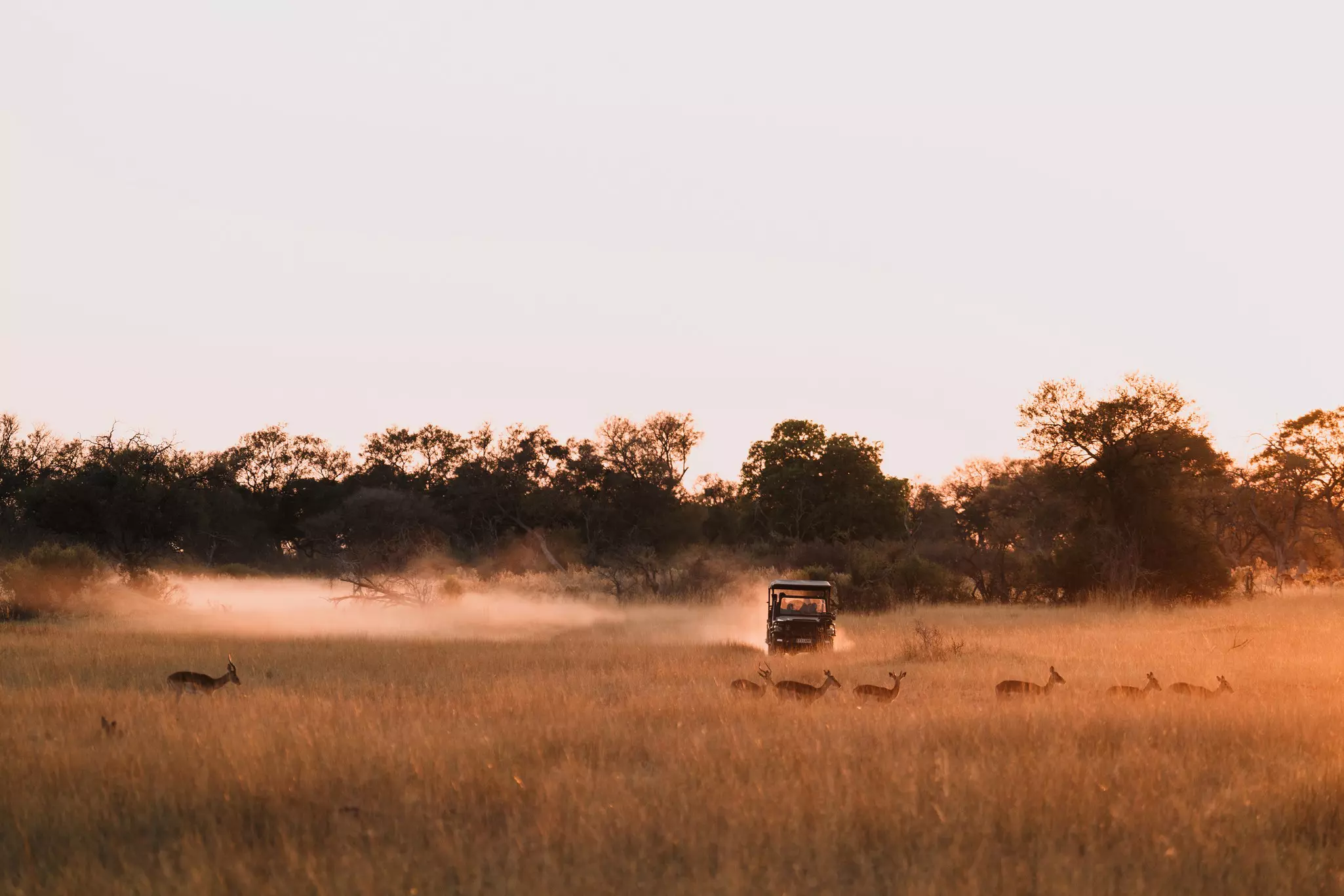 The beauty and stillness of Botswana’s Okavango Delta makes it an idyllic spot for wildlife watching © Alice Greenfield