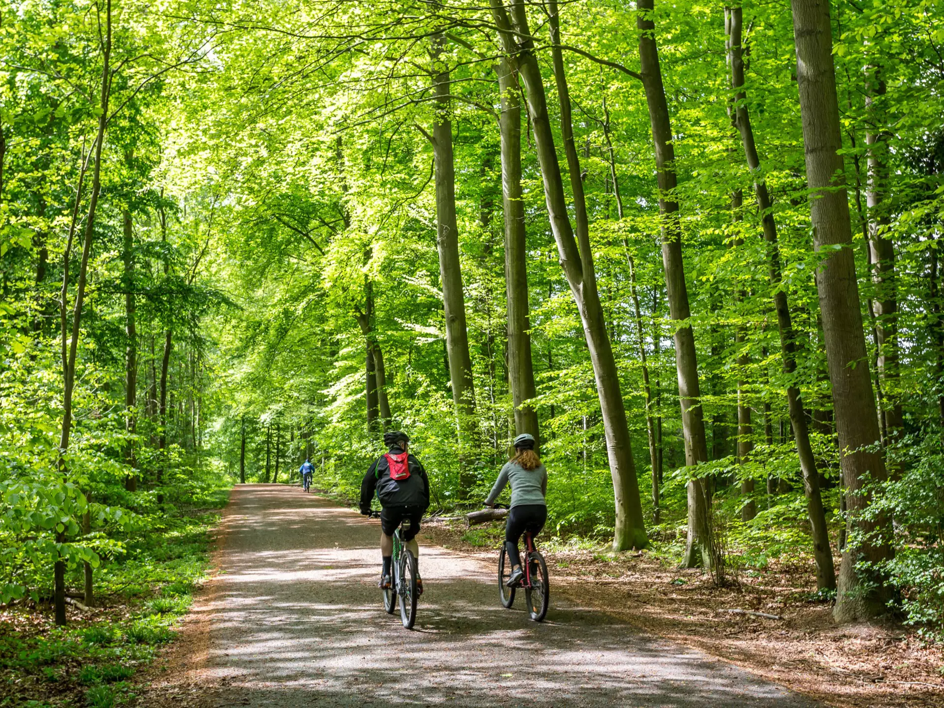 A couple cycling in the Sonian Forest near Brussels