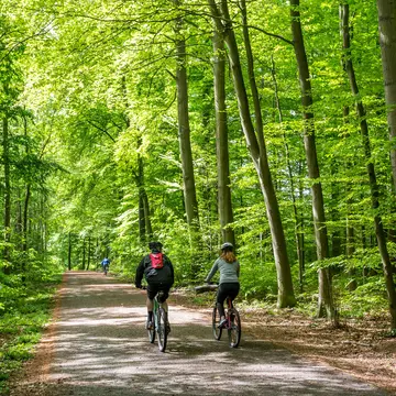 A couple cycling in the Sonian Forest near Brussels
