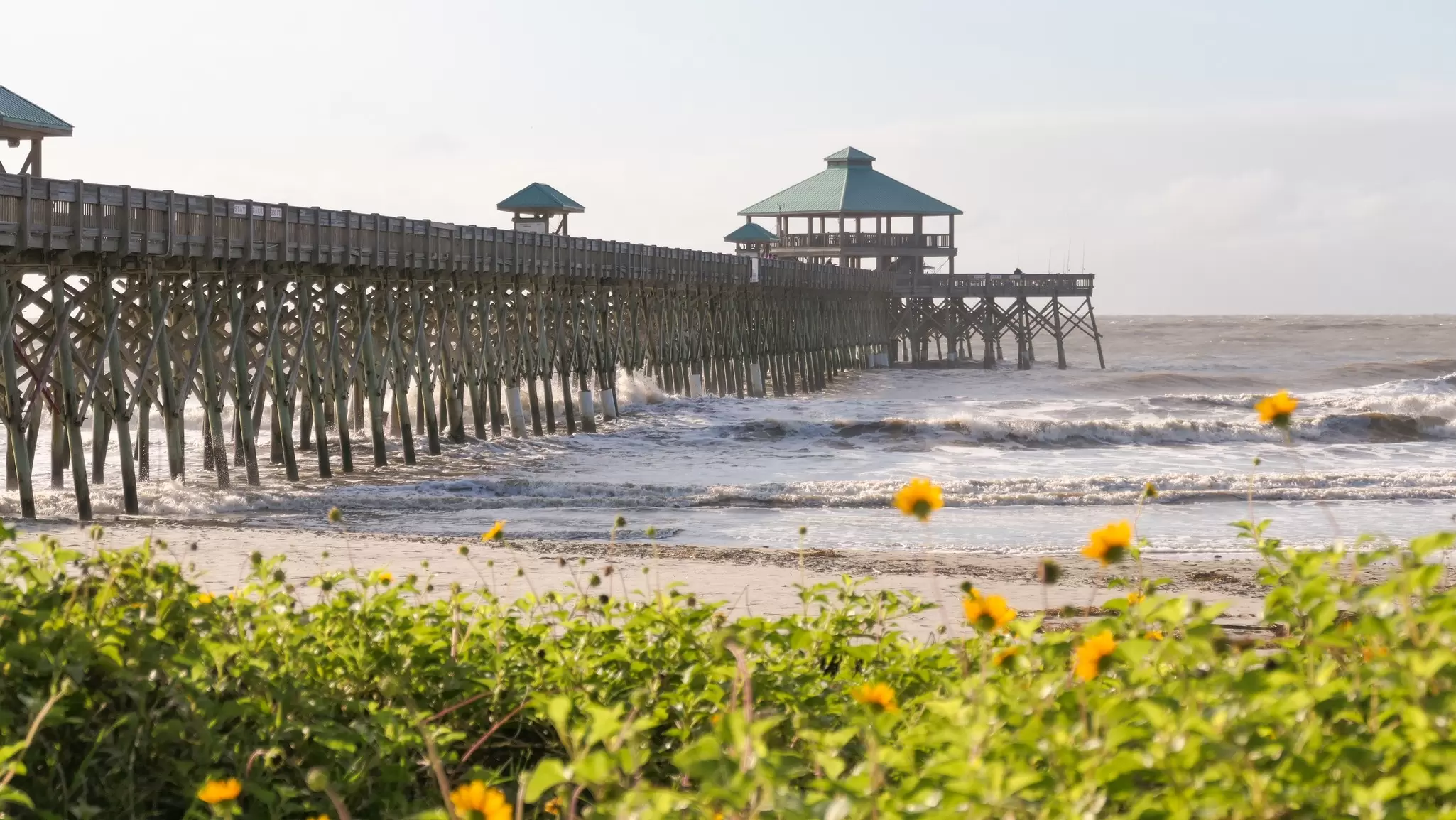 Plan the perfect summer vacation in the Sea Islands with this step-by-step guide. Raquel Lonas/Getty Images
