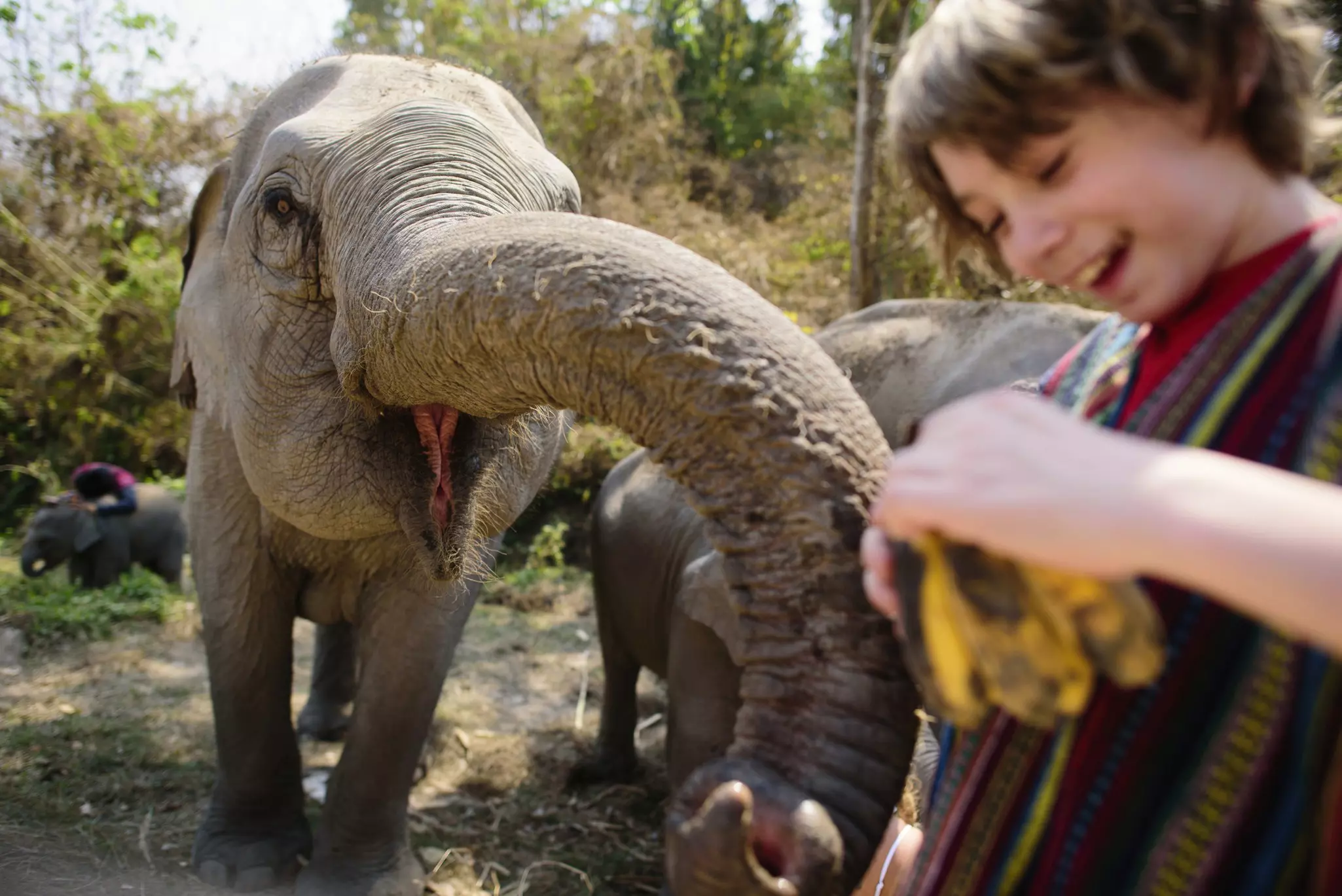 Few children will forget their first encounter with an elephant. Cavan Images / Getty Images