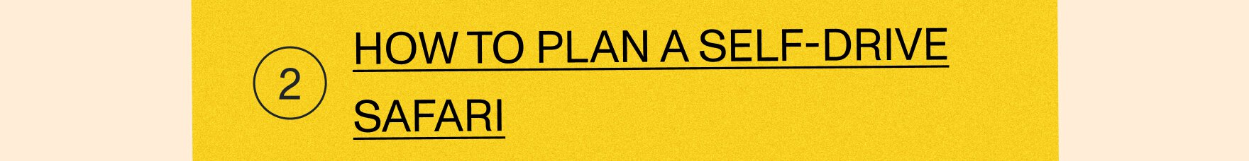 How to plan a self-drive safari