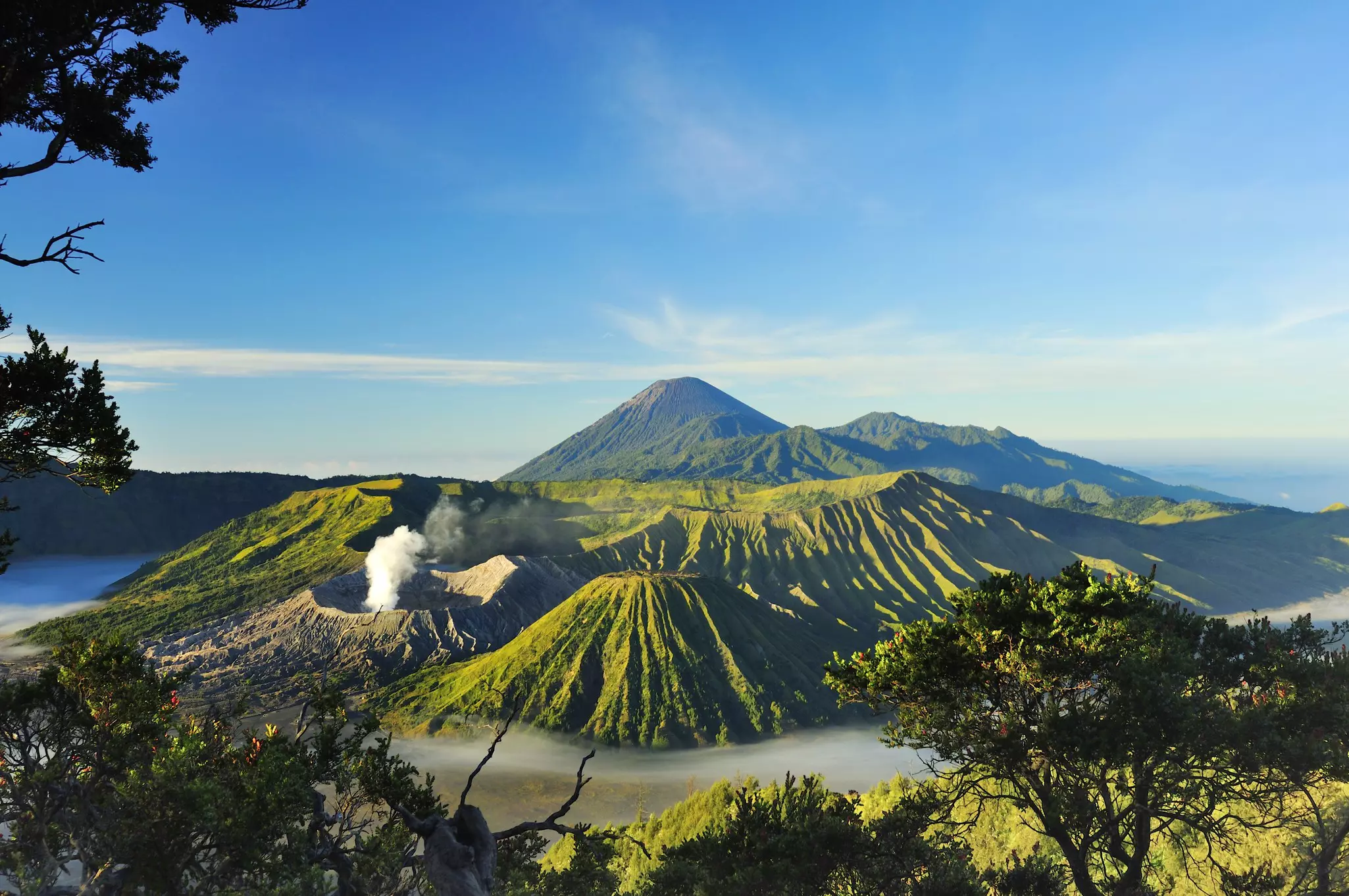 A volcanic mountain range glowing green in the sunlight. 