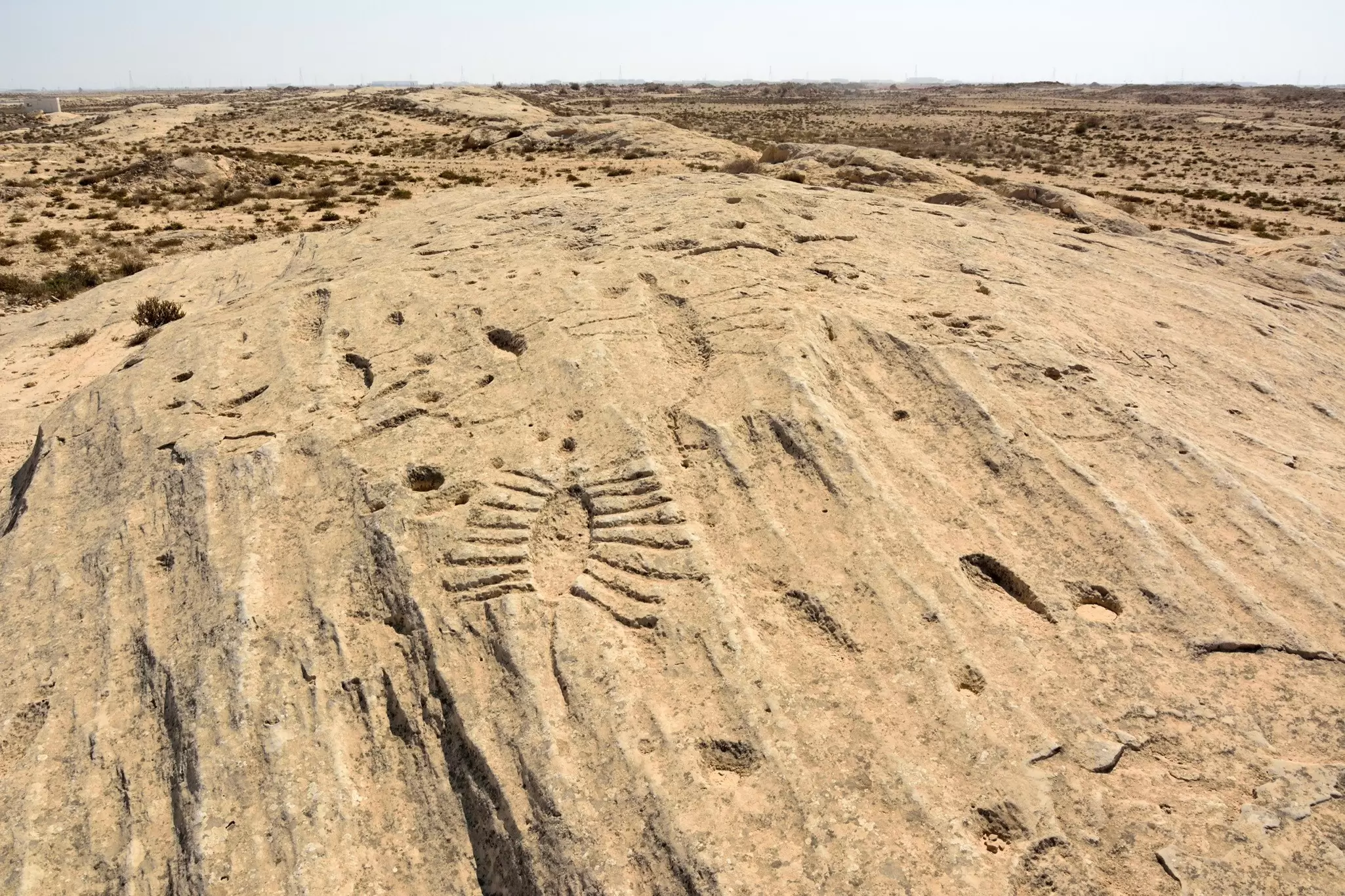 The ancient Al Jassasiya rock carvings in Qatar