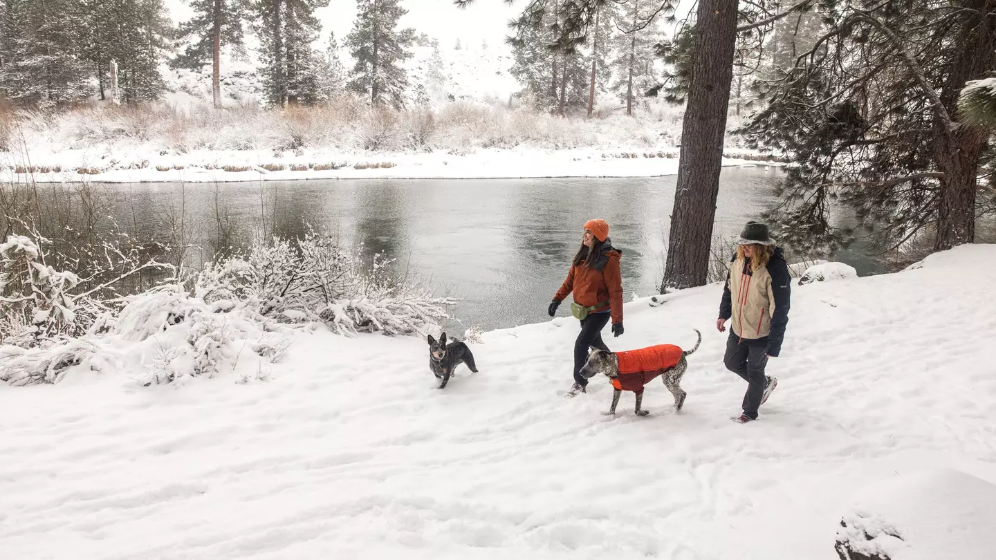 Snowy hikes with adorable dogs? Bend is where it's at © Courtesy Visit Bend