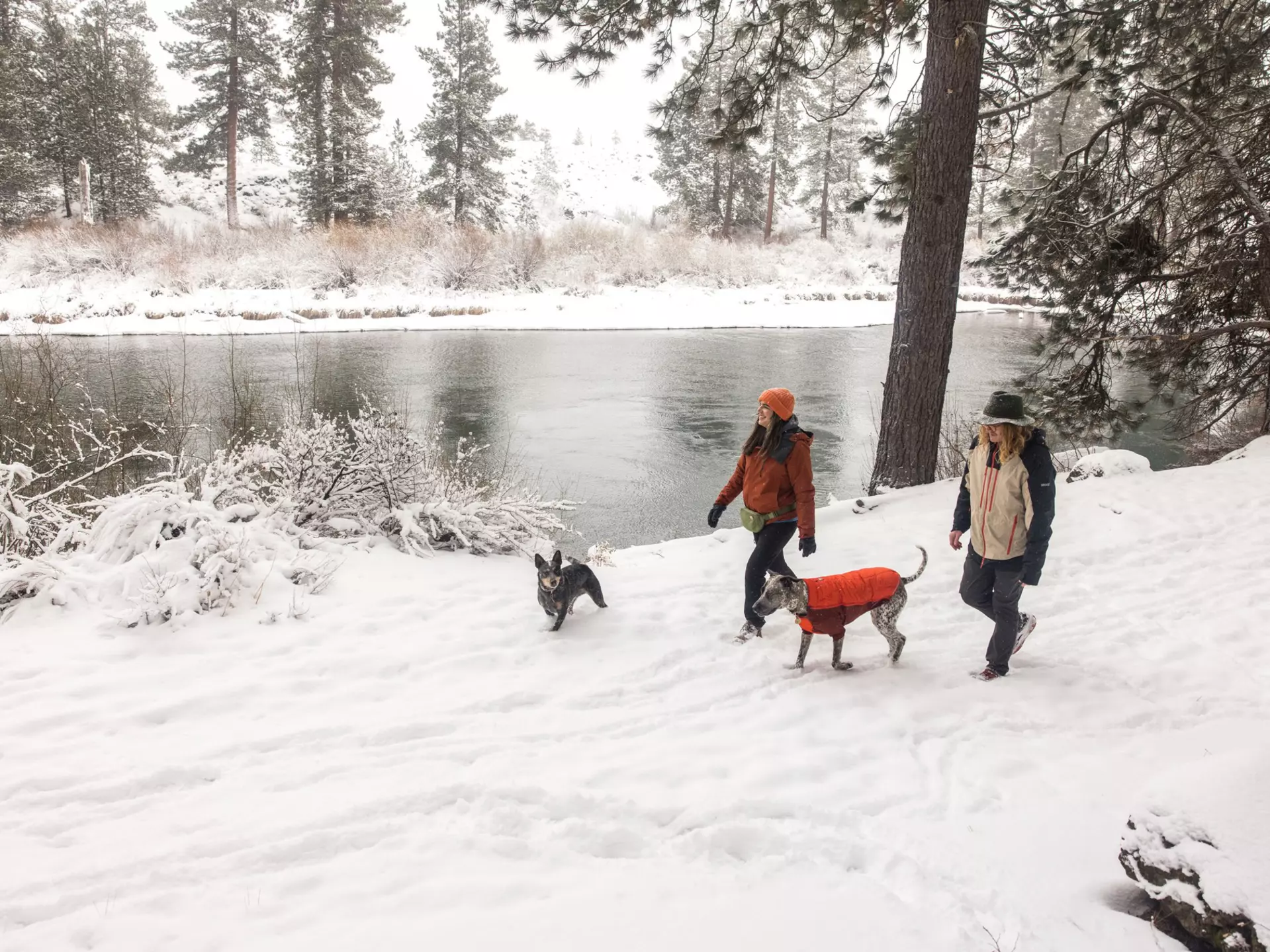Snowy hikes with adorable dogs? Bend is where it's at © Courtesy Visit Bend