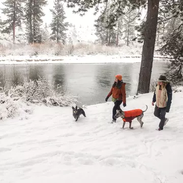 Snowy hikes with adorable dogs? Bend is where it's at © Courtesy Visit Bend