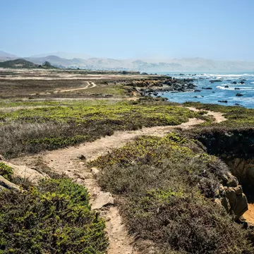 Coastal hiking trail at Harmony Headlands State Park on the Central Coast of California.