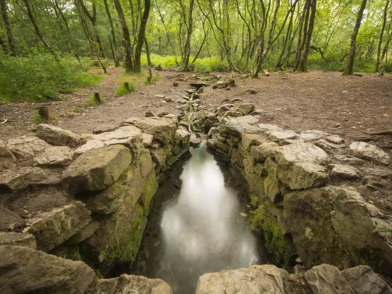 Fountain of Barenton. Broceliande Forest., License Type: media, Download Time: 2025-09-18T17:06:57.000Z, User: LP_ASouza, Editorial: false, purchase_order: 65050 - Digital Destinations and Articles, job: Lonely Planet, client: Europe Halloween, other: Amy Souza