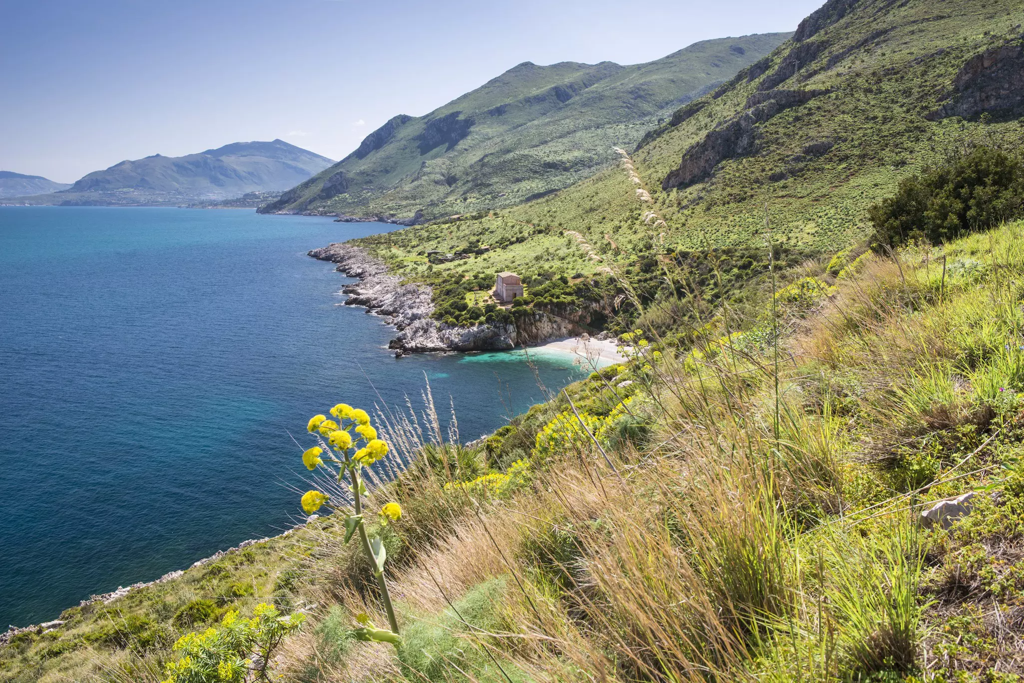 A grass-covered hillside looking out toward the ocean on a sunny day with forested mountains in the distance and a yellow flower in the foreground.