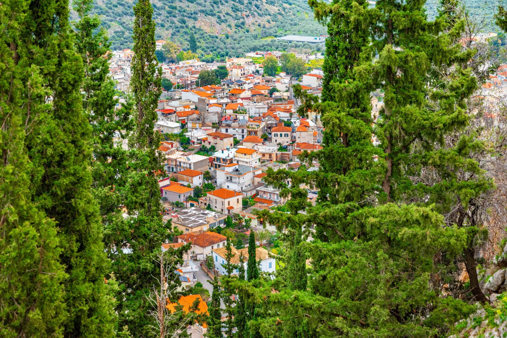 A hillside town of red-roofed buildings surrounded by woodland.