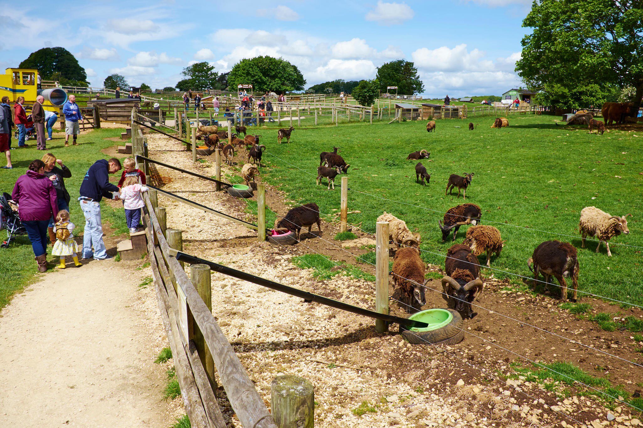 **RIGHTS MANAGED**
Families Feeding Animals At The Cotswold Farm Park, Bemborough Farm Kineton UK, England. Uploaded for app use only.