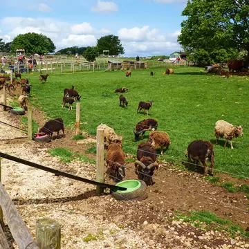 **RIGHTS MANAGED**
Families Feeding Animals At The Cotswold Farm Park, Bemborough Farm Kineton UK, England. Uploaded for app use only.