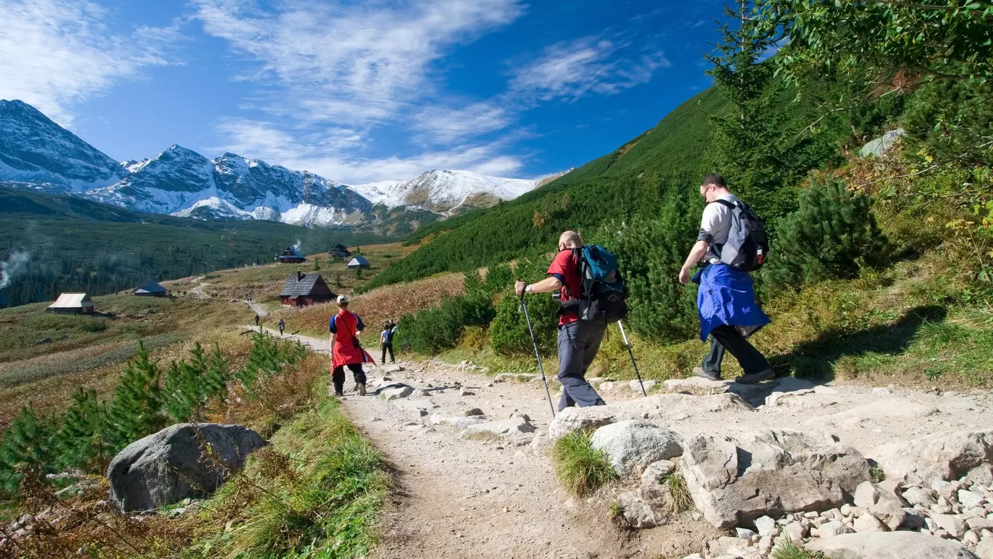 A trio hikes a mountain trail near Zakopane. tramper79 / Shutterstock
