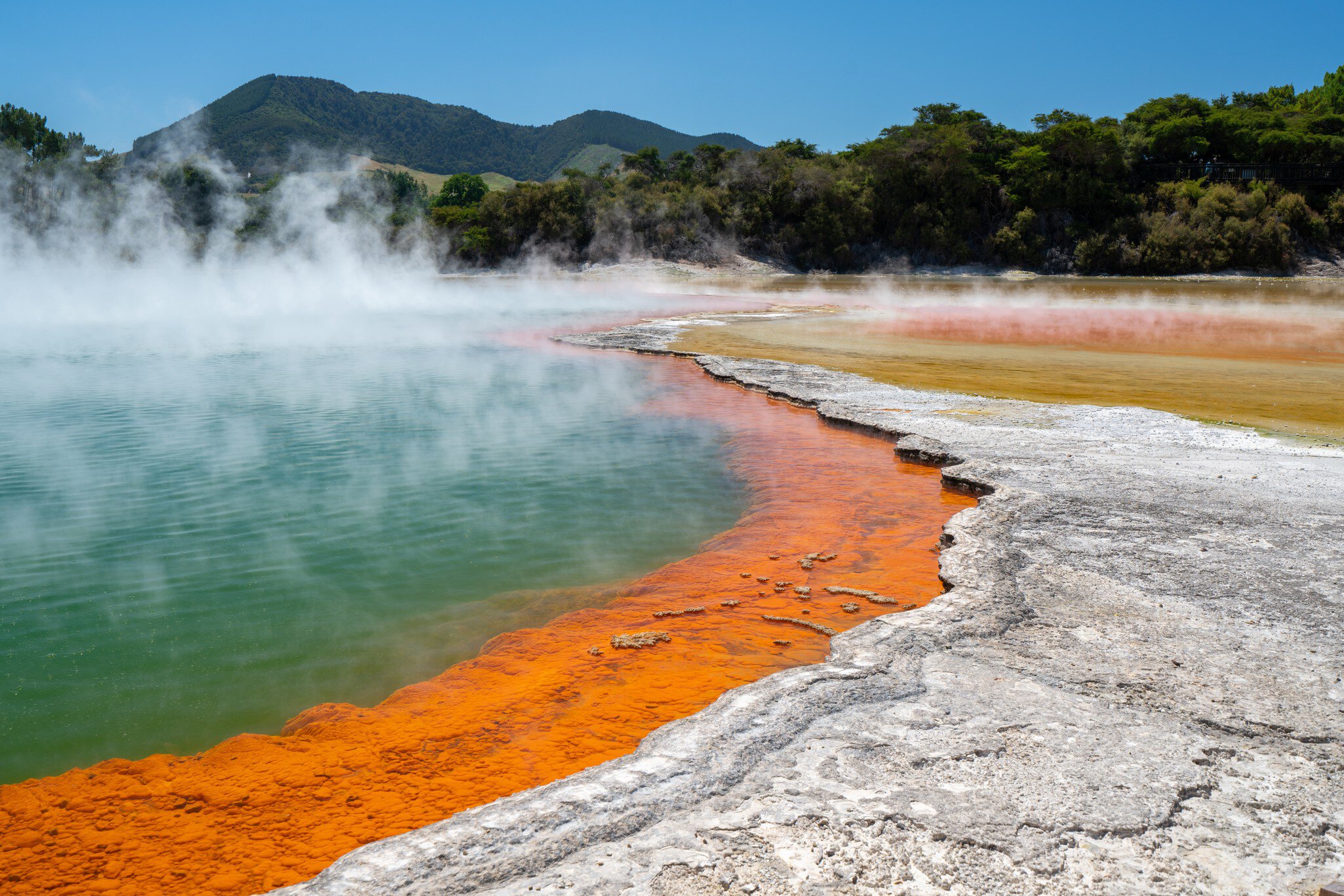 Steaming green geothermal pool edged with bright orange mineral deposits and white silica, forested hills behind.