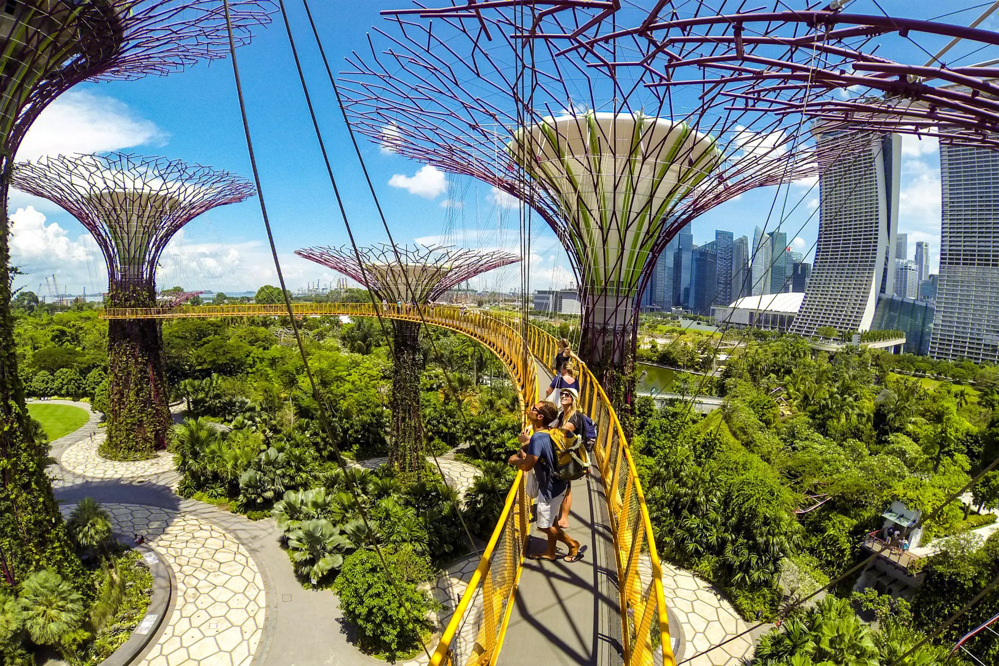 The OCBC Skyway in Singapore. John Seaton Callahan/Getty Images