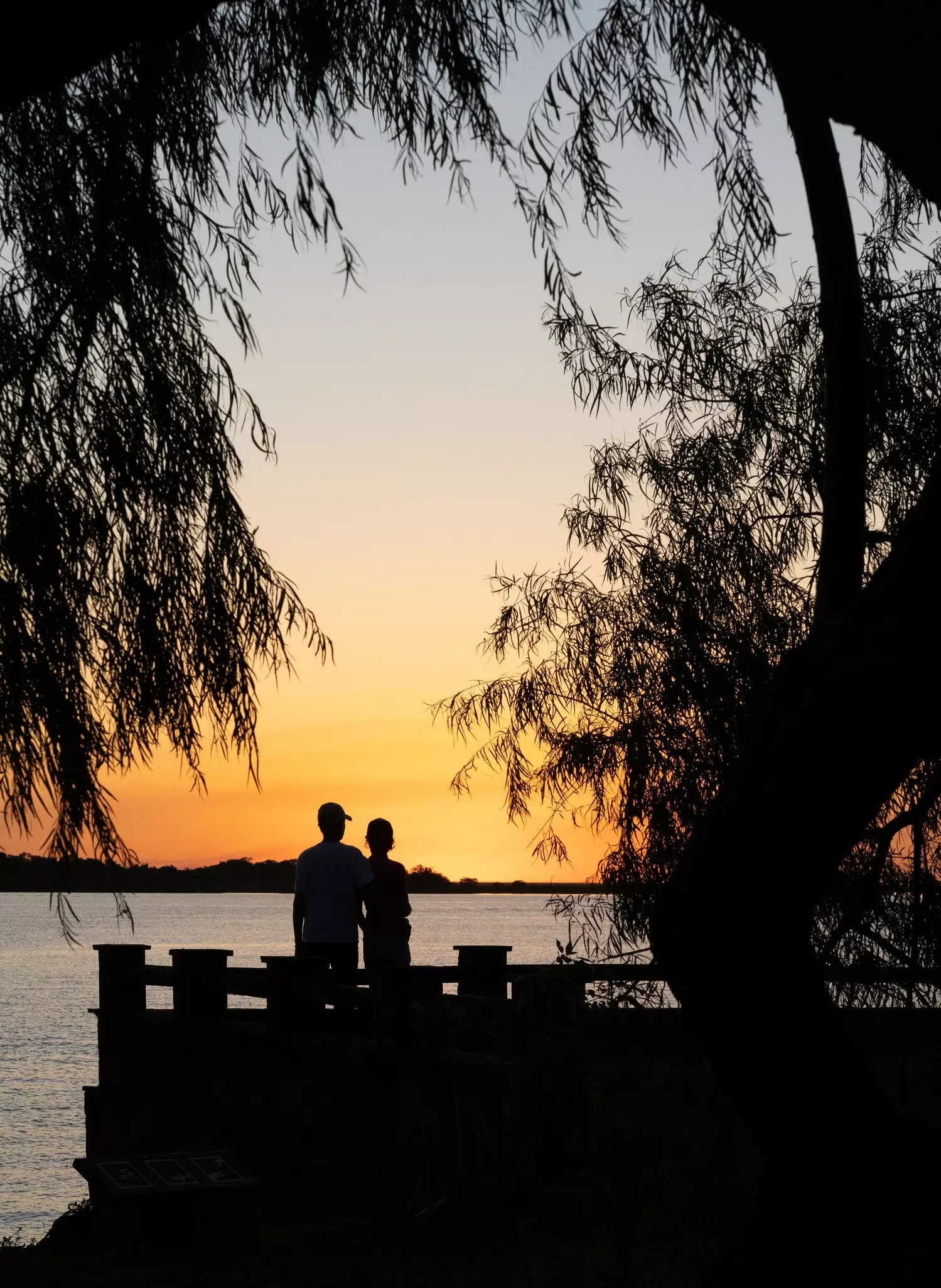 Sunset over wetlands in Conservation Park with egret perched on a wooden boardwalk.