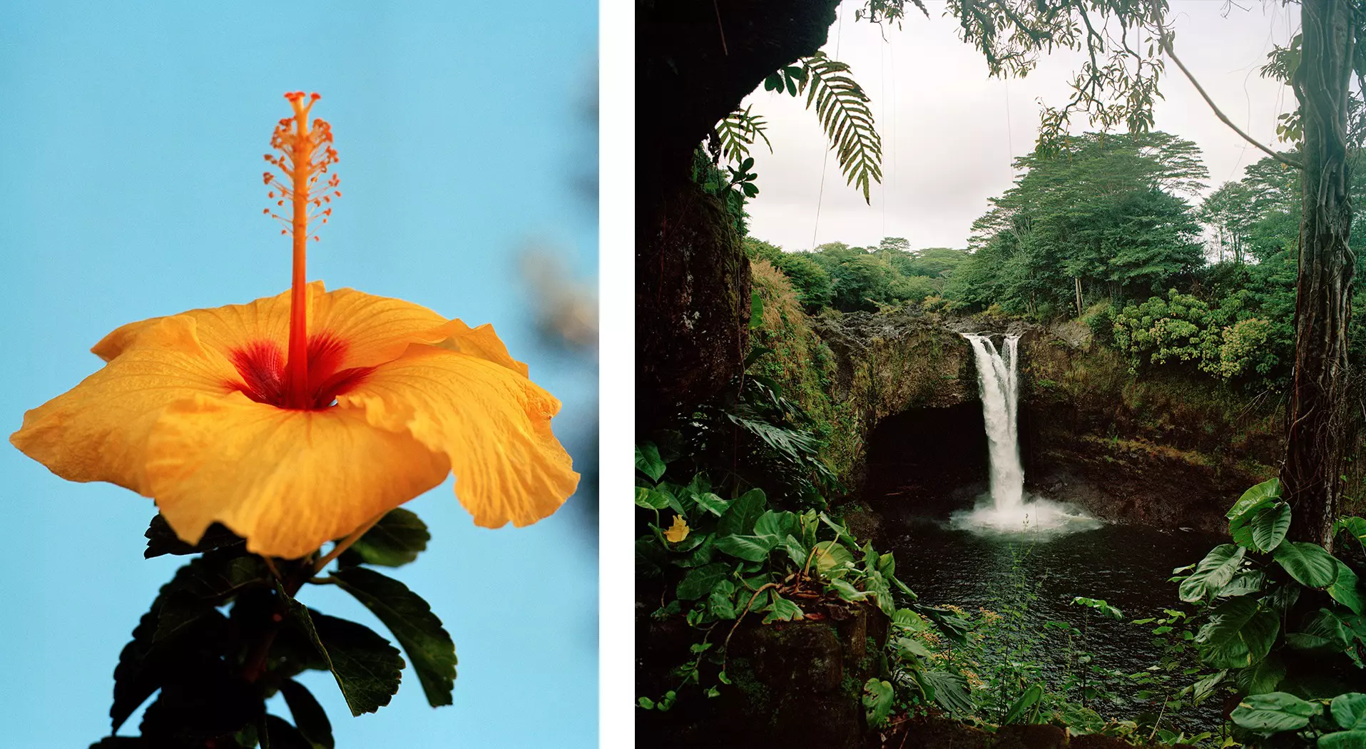 comps for Hawai'i photo essay by Nathan Cyprys