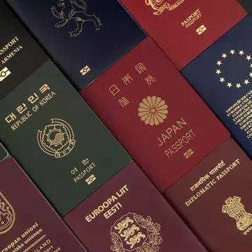 Although shades vary, passports can only be found in four colours. Sergey Shik / Shutterstock